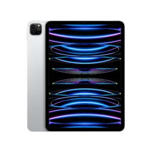 Brand New iPad Pro 11'  4th Gen 256 GB